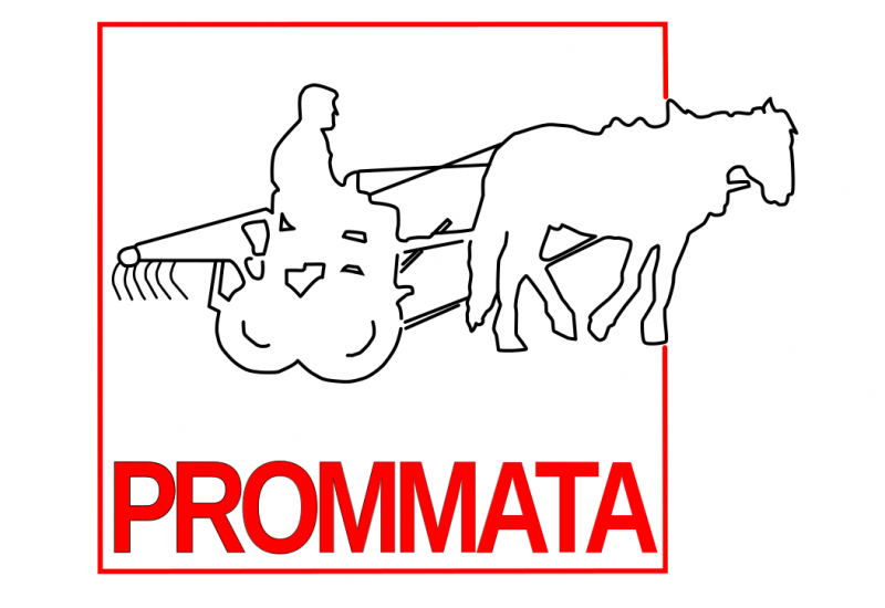 Association Prommata